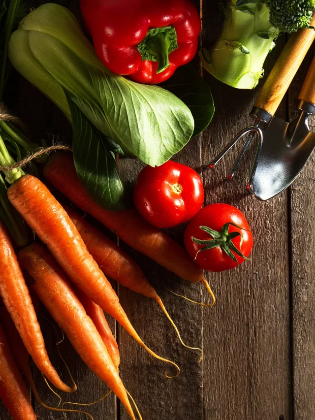 Easy Low-Cal Dinners You’ll Actually Love Under 400 Calories
